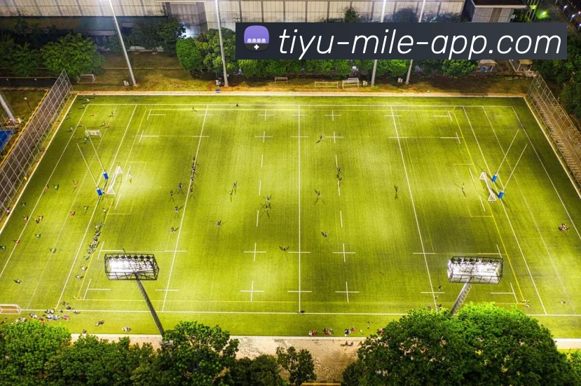 数据防护可视化